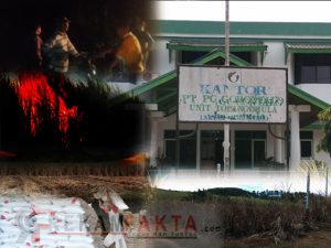Sebanyak 574 H Lahan Tebu Hangus Terbakar, Akankah Gorontalo Mengalami Krisis Gula?