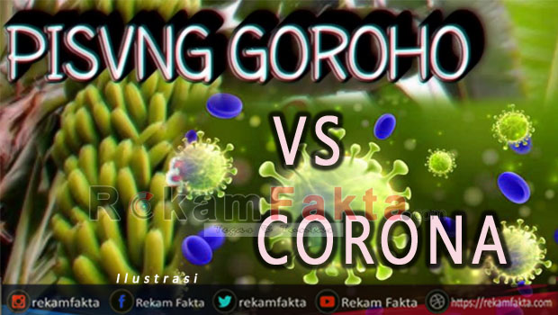 CORONA