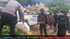 Mencoba Kelabui Petugas Brimob Di Perbatasan Taluda’a, Sopir Minibus Sembunyikan Cap Tikus Di Bawah Tumpukan Sayur