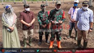 Danrem 133/NWB Dan Bupati Hamim Pou Serta Ketua DPRD Halid Tangahu Tanam Jagung Di Lokasi Pembangunan Kodim