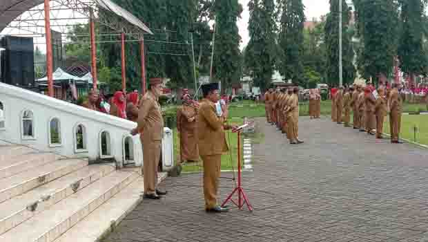 Boalemi2