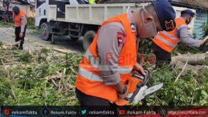 TIM SAR ILATO BRIMOB POLDA GORONTALO BERSIHKAN POHON TUMBANG DARI BADAN JALAN DI DESA DATAHU