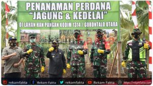 Bupati Gorut Dampingi Aster Kasad Bersama Danrem 133/NW Menanam Jagung Dan Kedelai Di Lahan Pangan Kodim 1314