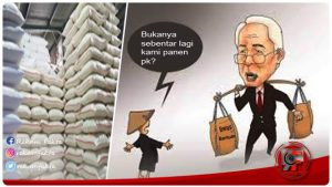 Beras Petani Di Kabupaten Gorontalo Menumpuk, Ada Apa?