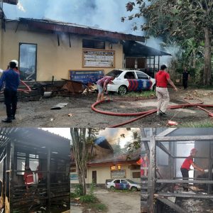 Cc53ad8e 908c 4eb7 Ba2d 0cce9683404c