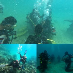 48d81700 240e 4d49 A3b5 1b21af4f2da0