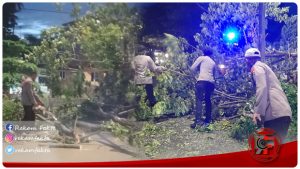 Hujan Deras Dan Angin Kencang, Tim SAR ILATO Brimob Gorontalo Bersihkan Pohon Tumbang Di Desa Padengo Kecamatan Limboto Barat