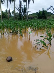 WhatsApp Image 2021 07 16 At 01.06.59