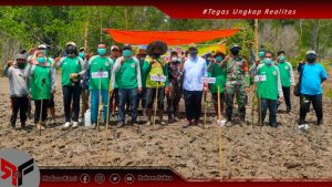 Di Lahan 30 Hektar Desa Popalo, Balai Pengelolaan DAS dan Lingkungan Hidup Lakukan Penanaman Mangrove