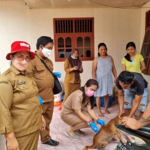 UPTD Lab Veteriner & Bidang Peternakan Distan Provinsi Bersama Dinas Peternakan Kabgor Lakukan Vaksinasi Rabies Di Kecamatan Pulubala