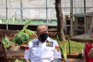 Ketua DPD RI Minta Masalah Minyak Goreng Diselesaikan dari Hulu hingga Hilir
