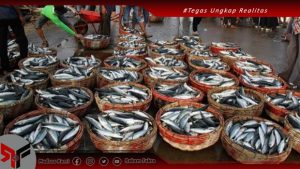 Ambon New Port (ANP) dan Lumbung Ikan Nasional (LIN) Tetap Jalan di Maluku