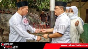 Idul Adha 2022, Polda Gorontalo Berkurban Sebanyak 25 Ekor Sapi dan 1 Ekor Kambing