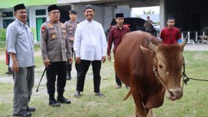 Kunjungi Ponpes At Tanwir, Kapolda Gorontalo Serahkan Hewan Kurban