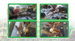 Tim Dosen Dari Unisan Gorontalo Kembangkan Pariwisata Berkelanjutan di Ekowisata Pinus Motilango