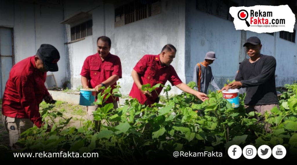 Lapas Pohuwato Perdana Lakukan Langkah Positif Panen Kacang Hijau Bersama Narapidana