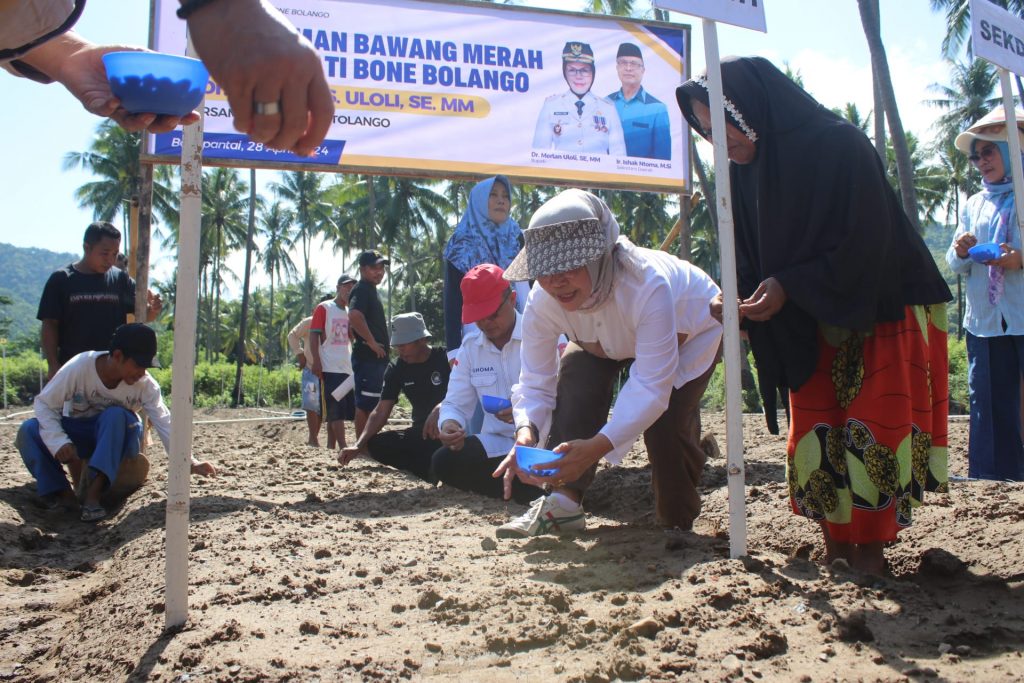 Bupati Merlan Ikuti Kegiatan Penanaman Bibit Bawang di Bone Pantai
