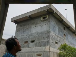 Usaha Sarang Burung Walet di Kota Gorontalo Diduga Banyak Yang Tidak Ada Ijin PBG