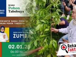 Keindahan Danau Perintis Ternyata Baru 30%, Kini Ditanami Pohon Tabebuya