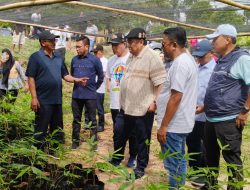 ‎1.000 Hektar Bambu Petung, Asa Baru Boalemo dari Rachmat Gobel‎