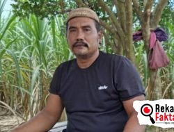 Harga Tebu Gorontalo Dibawah Edaran Kementan, Petani Tebu Geram: Pemerintah Lemah, Pabrik Gula Arogan!