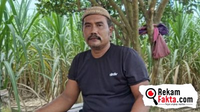 Harga Tebu Gorontalo Dibawah Edaran Kementan, Petani Tebu Geram: Pemerintah Lemah, Pabrik Gula Arogan!