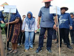 ‎Rachmat Gobel Tegaskan Komitmen Kemandirian Pangan Lewat Gerakan Kedelai di Gorontalo