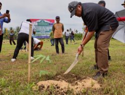 ‎Gerakan Satu Juta Bambu, Langkah Nyata Gobel Hijaukan Boalemo