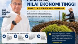 Aldi Uloli Dorong Hilirisasi Rumput Laut di Gorut, Sebut Potensinya Bisa Gerakkan Ekonomi Daerah