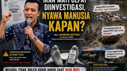 Ikan Mati Cepat Diinvestigasi, Nyawa Manusia Kapan?
