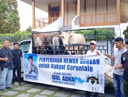 Rachmat Gobel Salurkan 40 Ekor Sapi Kurban untuk Warga Gorontalo