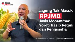 Jagung Tak Masuk RPJMD, Jasin Mohammad Soroti Nasib Petani dan Pengusaha