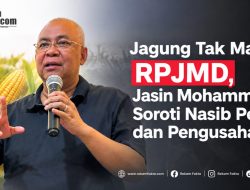 Jagung Tak Masuk RPJMD, Jasin Mohammad Soroti Nasib Petani dan Pengusaha